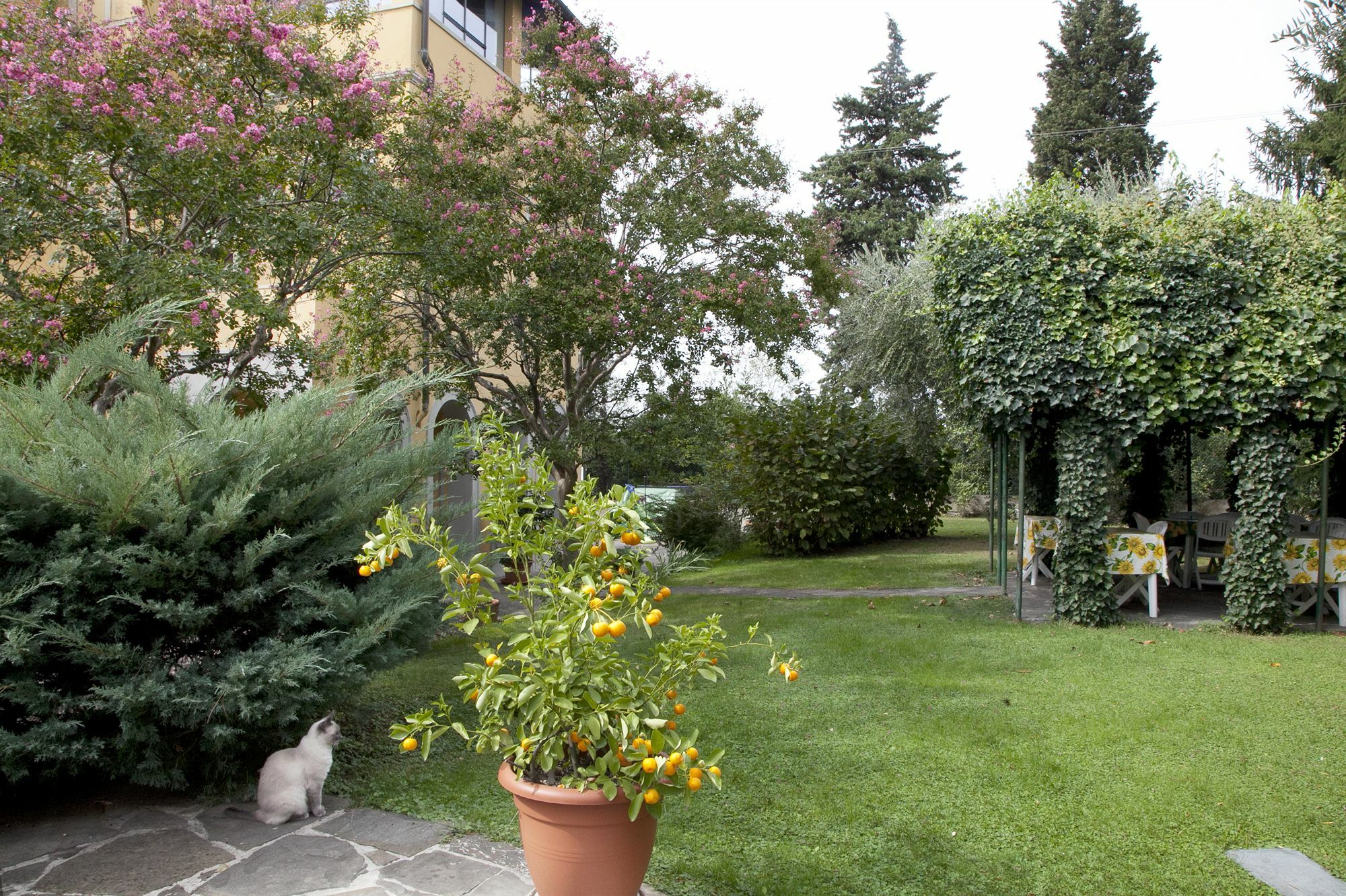 B&B Villa La Sosta Флоренция Екстериор снимка
